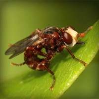 /album/yeast-infection/photolia-a06-jpg/